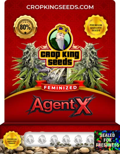 agent x-image
